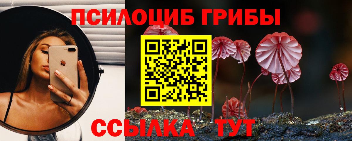 Псилоцибиновые грибы мицелий  Вход с VPN  Галлюциногенные грибы прущие грибы  Наро-Фоминск 