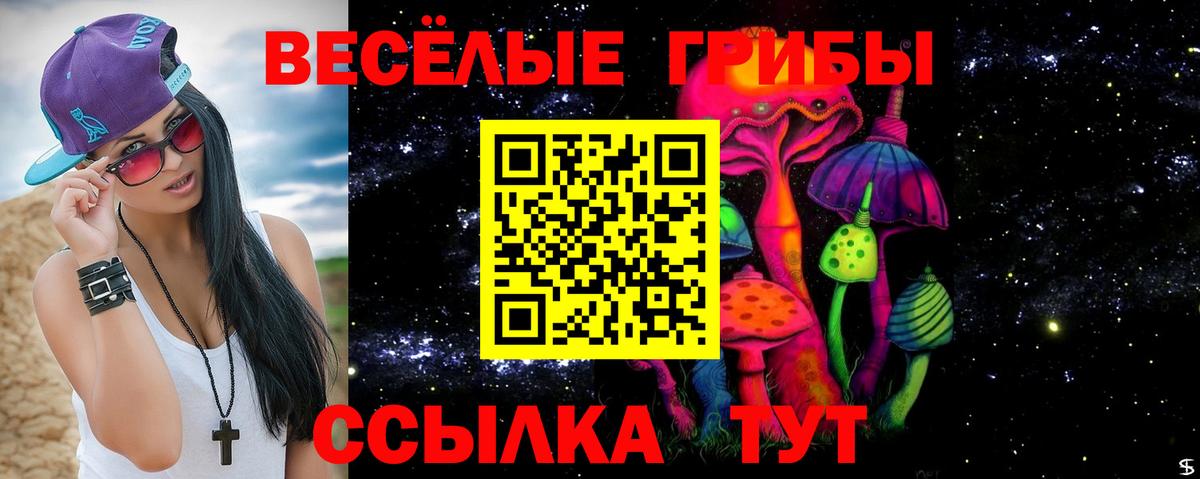 Галлюциногенные грибы Psilocybine cubensis Наро-Фоминск